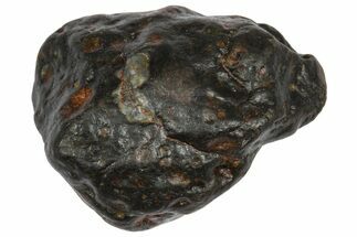 Carbonaceous Chondrite Meteorite ( g) - NWA #334425