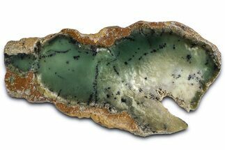 Polished Dendritic Chrysoprase Slab - Western Australia #364235
