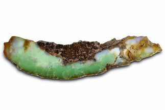 Polished Green Chrysoprase Section - Western Australia #364247