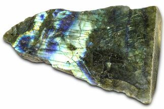 Single Side Polished Labradorite Section - Madagascar #364291
