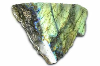 Single Side Polished Labradorite Section - Madagascar #364298