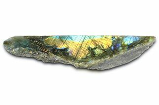 Single Side Polished Labradorite Section - Madagascar #364302