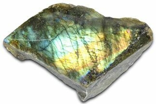 Single Side Polished Labradorite Section - Madagascar #364312