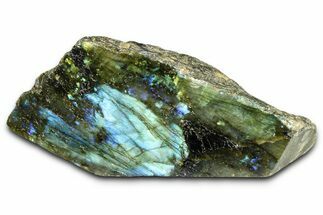 Single Side Polished Labradorite Section - Madagascar #364315
