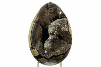 Septarian Dragon Egg Geode - Sparkly Black Crystals #364682