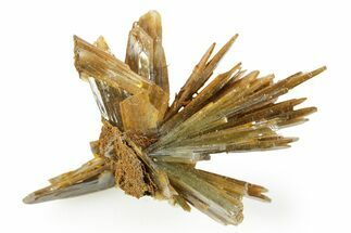 Sharp Bladed Blue Barite Cluster with Limonite - Morocco #365638