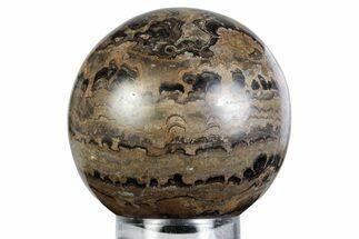 Polished Stromatolite (Greysonia) Sphere - Bolivia #363464