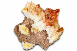 Glittering Ruby Red Vanadinite Crystals on Barite - Morocco #365785