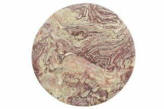 Polished Neoproterozoic Stromatolite (Conophyton) - Morocco #365851