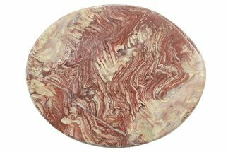 Polished Neoproterozoic Stromatolite (Conophyton) Slab #365854