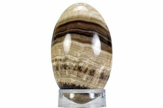 Swirling Polished Chocolate Calcite Egg - Pakistan #365816