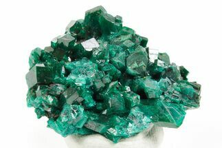 Emerald-Green Dioptase Crystal Cluster - Congo #366003
