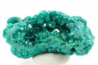 Emerald-Green Dioptase Crystal Cluster - Congo #366014