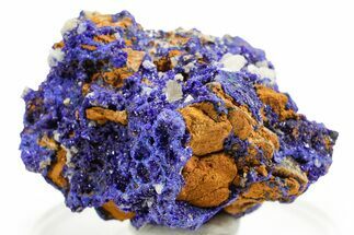 Cerussite Crystals on Sparkling Azurite - Congo #366031