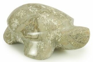Polished Brown Fossil Coral Turtle - Indonesia #366279