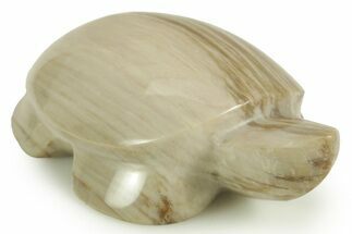 Polished Petrified Wood Turtle - California #366286
