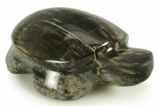 Polished Petrified Wood (Sycamore) Turtle - Nevada #366290