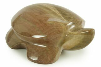 Polished Petrified Wood Turtle - Australia #366293