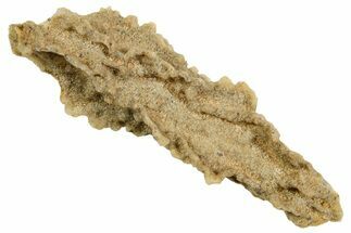 Fulgurite - Petrified Lightning #366340
