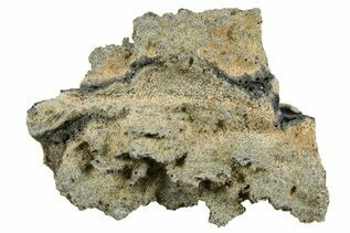 Buy Fulgurites