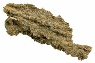 Fulgurites For Sale