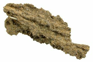 Fulgurite - Petrified Lightning #366372