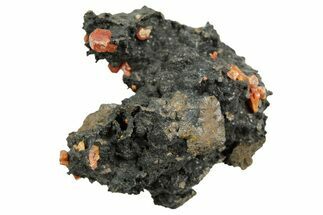 Small Red Vanadinite Crystals on Goethite - Morocco #366230