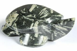 Polished Chinese Writing Rock Turtle - Alaska #366530