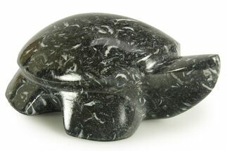 Carved Black Coquina Turtle - California #366996