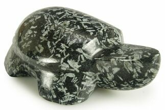 Carved Chinese Writing Rock Turtle - Quebec, Canada #367029