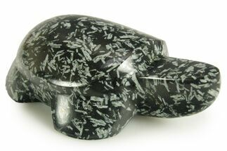Carved Chinese Writing Rock Turtle - Quebec, Canada #367030