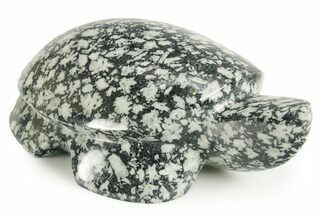 Carved Chinese Writing Rock Turtle - BC Canada #366962
