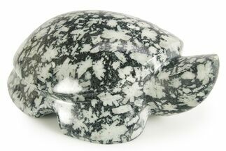 Carved Chinese Writing Rock Turtle - BC Canada #366963
