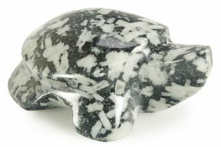 Carved Chinese Writing Rock Turtle - BC Canada #366977