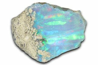 Brilliant Precious Ethiopian Fire Opal ( grams) #367264