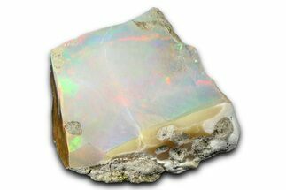 Brilliant Precious Ethiopian Fire Opal ( grams) #367335