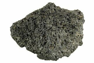 Fossil Glyptodont (Glyptotherium) Bony Armor Osteoderm - Florida #362358