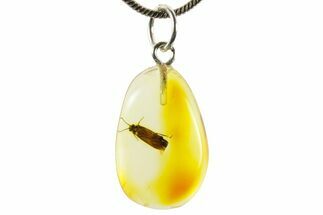 Polished Baltic Amber Pendant (Necklace) - Contains Caddisfly! #367355