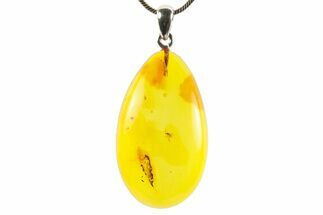 Polished Baltic Amber Pendant (Necklace) - Contains Fly! #367369