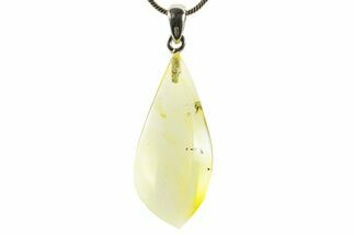 Polished Baltic Amber Pendant (Necklace) - Contains Fly! #367374
