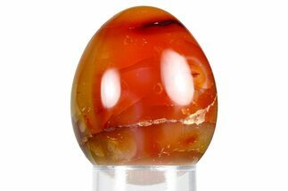 Vibrant Polished Carnelian Agate Egg - Madagascar #355521