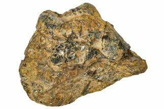 Pallasite Meteorite ( g) - NWA #367769