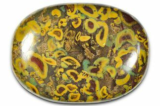 Polished Fruit Jasper Palm Stone - India #342254