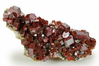 Deep Red Vanadinite Crystal Cluster - Large Crystals #368105