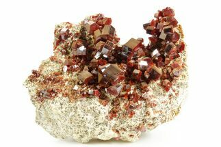 Pristine, Ruby Red Vanadinite Crystal Cluster - Large Crystals #368150