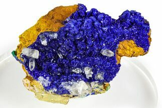 Cerussite Crystals on Sparkling Azurite - Congo #368208