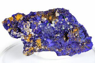 Cerussite Crystals on Sparkling Azurite - Congo #368229