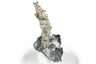 Native Silver in Calcite - Morocco #368320