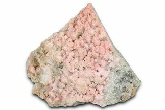 Pink Rhodochrosite Rosettes on Quartz Crystals - Bulgaria #368709