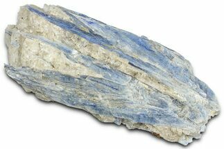 Vibrant Blue Kyanite Crystals and Staurolite In Quartz - Brazil #368776